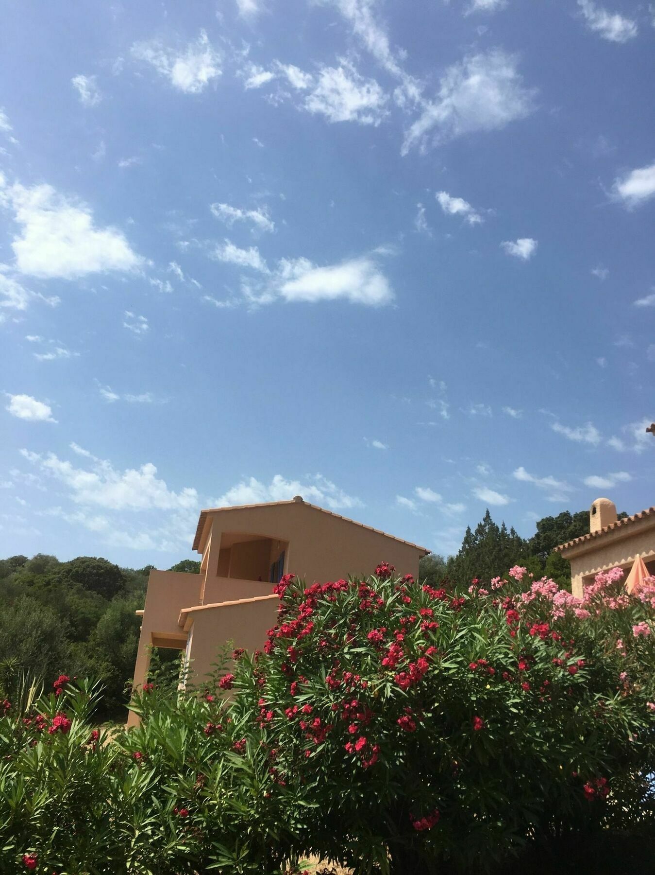 Residence U Latonu - Palombaggia Porto-Vecchio  Exterior photo